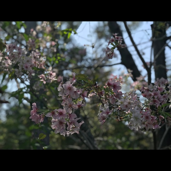 Meet your Posher, Belinda - Picture 1 of 1